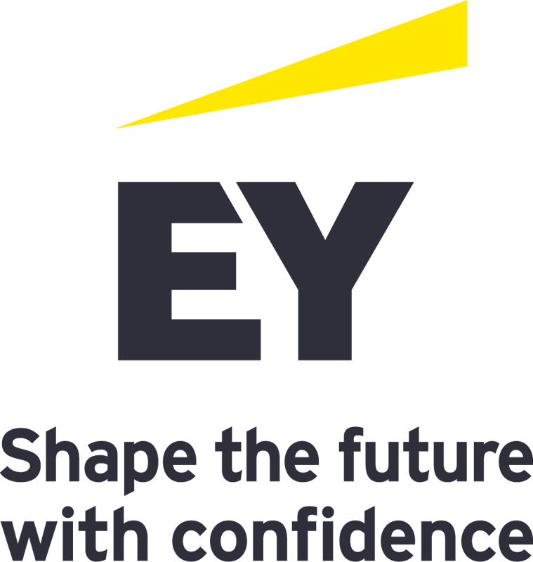 EY company